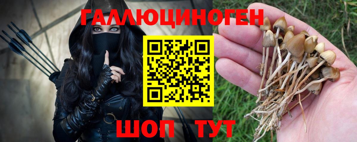 Псилоцибиновые грибы мухоморы  Вход с VPN  Губкинский 