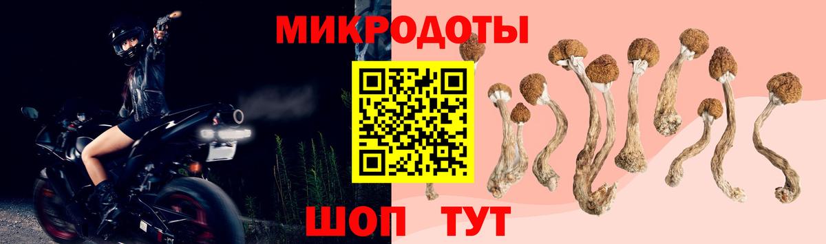 Псилоцибиновые грибы GOLDEN TEACHER Губкинский